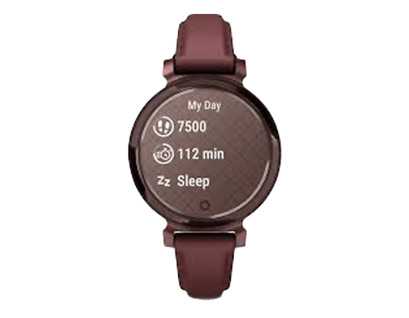 This product fits the Garmin Lily 2